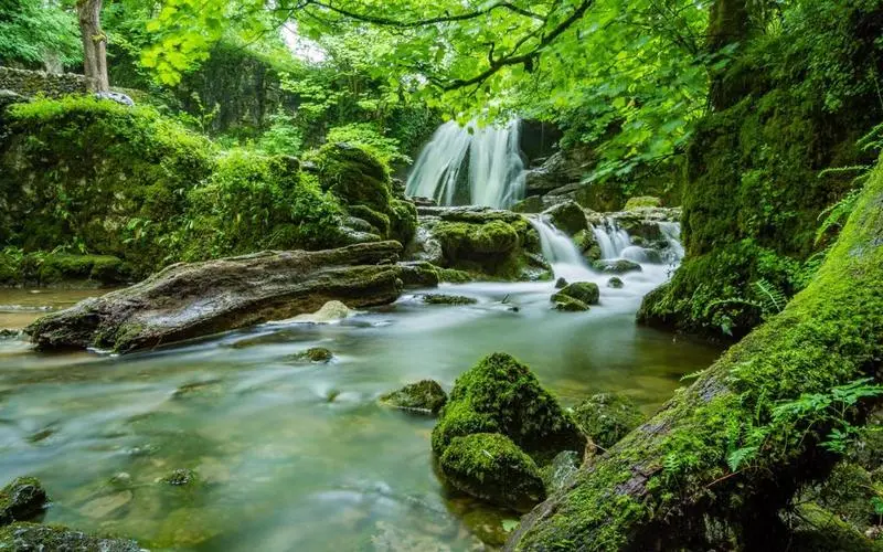 高质量独特